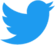 Twitter-logo.svg (1) (2) (1).png